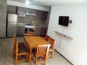Departamento en el Centro